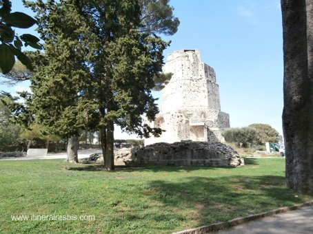 Jardins de Nîmes la Tour Magne