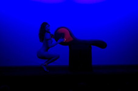 picture flush with pleasure to the crazy horse paris