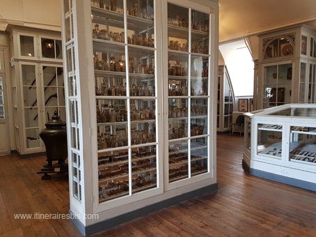 Visite de Rochefort la bibliothèque de l'école de médecine vitrine contenant des études sur le corps humain
