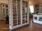 Visite au Musée de l'école de médecine navale vitrine contenant des études sur le corps humain