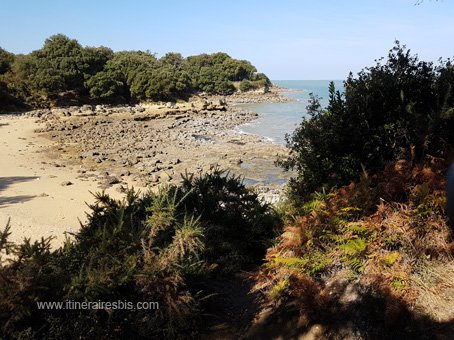 Visite sur l'ile d'Aix petite crique