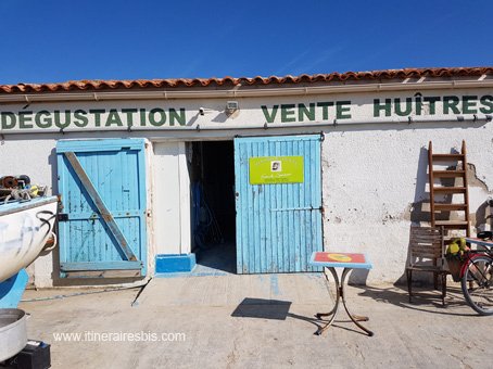 Visite sur l'ile d'Aix bar à huitres