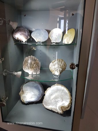 Visite sur l'ile d'Aix le musée de la nacre