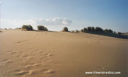 Retour au texte