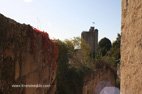 Visite de Saint Emilion la tour du Roy au loin
