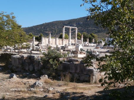 Visite du site archéologique d'Epidaure l'Abaton