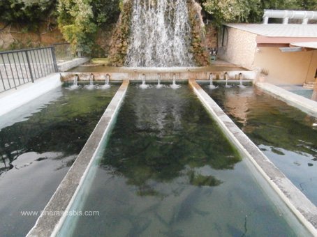 Les bassins de pisciculture du restaurant Votomos à Zaros