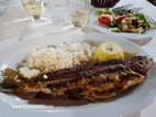 smoked trout