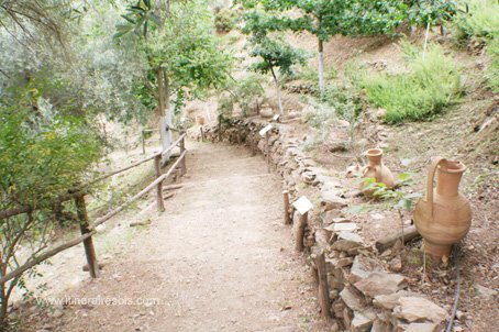 Visite du jardin botanique de Crète allée des poteries