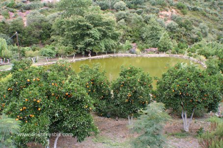 Visite du jardin botanique de Crète le petit lac