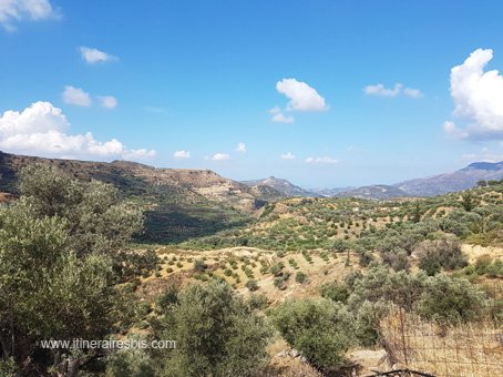 Site archéologique de Malia paysages autour de Malia