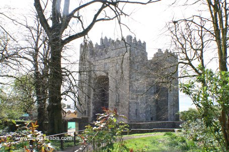 Visite du Château du Bunratty