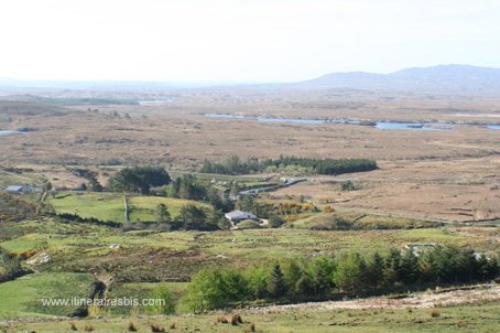 Visite du centre Dan O'Hara paysages du Connemara