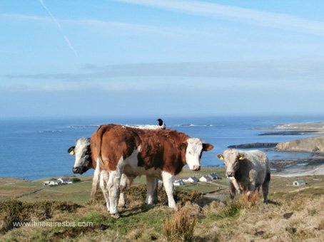 Photo de la Sky Road entre terre et mer