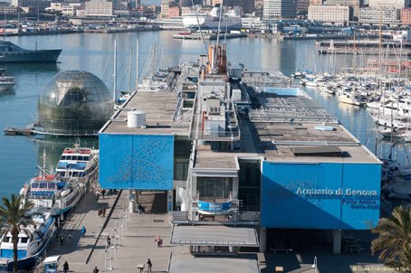 Visite de l'aquarium de Gênes