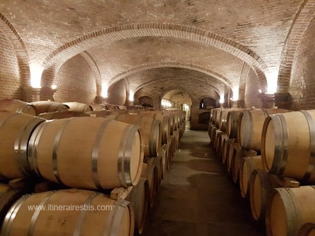 Visite des caves Cascina Chicco les tonneaux pleins pour le vieillissement