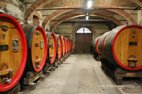 Visite des caves Marchesi di Barolo les fûts où sont conservés le vin de Barolo