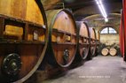 Visite des caves Marchesi di Barolo les fûts où sont conservés le vin de Barolo