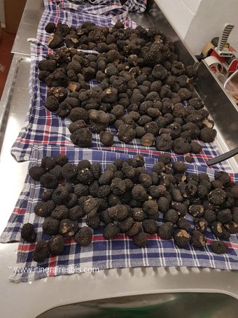 Tartufi Morra à Alba il y a aussi des truffes noires en cette saison