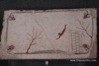 photo du plongeur muséee de paestum