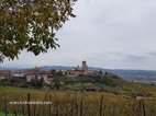 Visite de Barbaresco et sa Tour